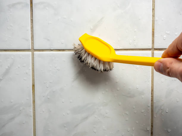 Best Mold Remediation  in Gardena, CA