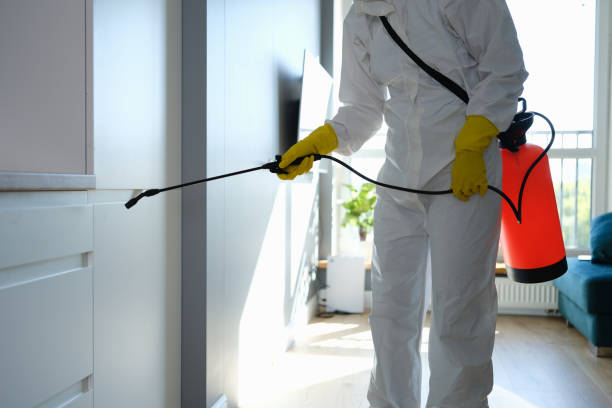 Best Black Mold Removal  in Gardena, CA