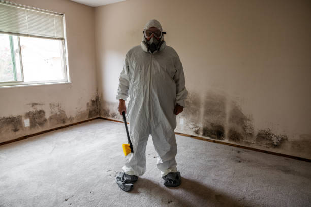 Best Crawl Space Mold Removal  in Gardena, CA